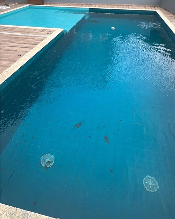 Piscina revestida de azulejo antes da limpeza, com folhas e sujeira no fundo.
